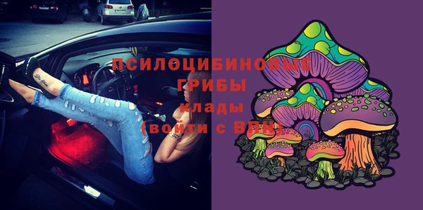 СК Верея